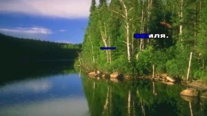 У БЕРЁЗ И СОСЕН KARAOKE ,