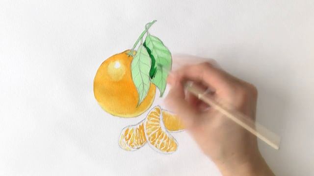 Мандарин акварелью смотреть онлайн