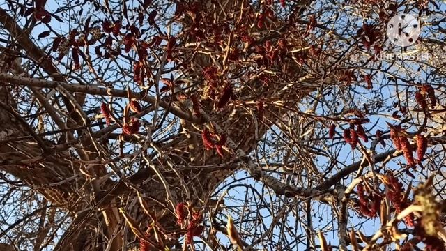 Кристина Мотиватор.Монро хорошо оттеняла Мотиватора и скрашивала одинокие вечера