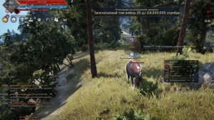 Как поймать лошадь в Black Desert