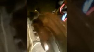 Датчик abs на shkoda roomster.  Диагностика