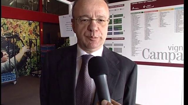Intervista al Ministro Gianfranco Rotondi - Vinitaly 2011 смотреть онлайн