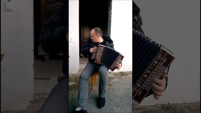 Гармонь мастера Терехина смотреть онлайн
