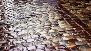 НАПОЛНЕН МИР НЕКРАСОТОЙ, НЕВЗРАЧНОСТЬЮ