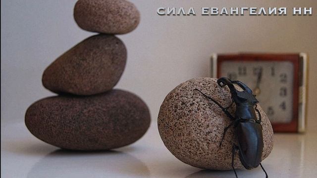 ВСЕМУ СВОЁ ВРЕМЯ, И ВРЕМЯ ВСЯКОЙ ВЕЩИ ПОД НЕБОМ… ЕККЛ. 3:1-8 смотреть онлайн