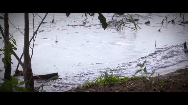 Сюрприз родителям. Видео в день свадьбы. смотреть онлайн