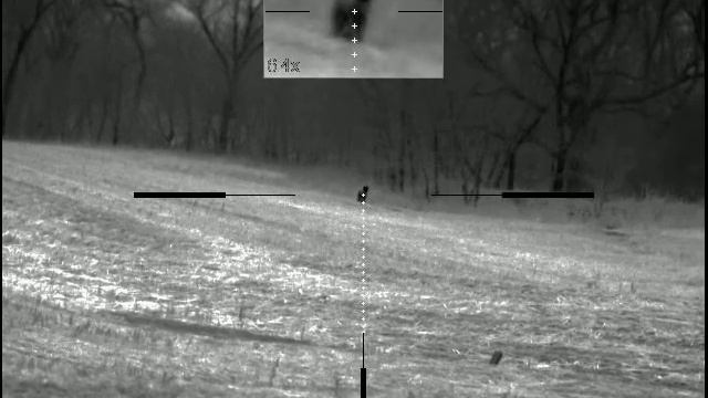 Pulsar Trail Xp50 Coyote Hunt