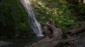 Славянские Мантры — Агмы