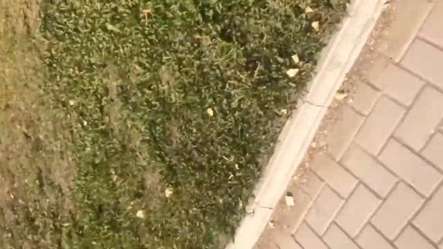 Горно-Алтайск смотреть онлайн