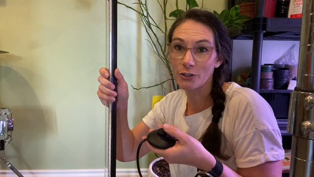 Barrina Vertical Grow light Review смотреть онлайн