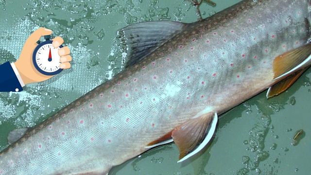 Уборка с любовью