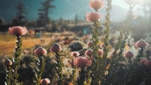 Богач нанял сиделкой для умирающего сына сиротку с улицы. А когда по её просьбе коснулся его руки..