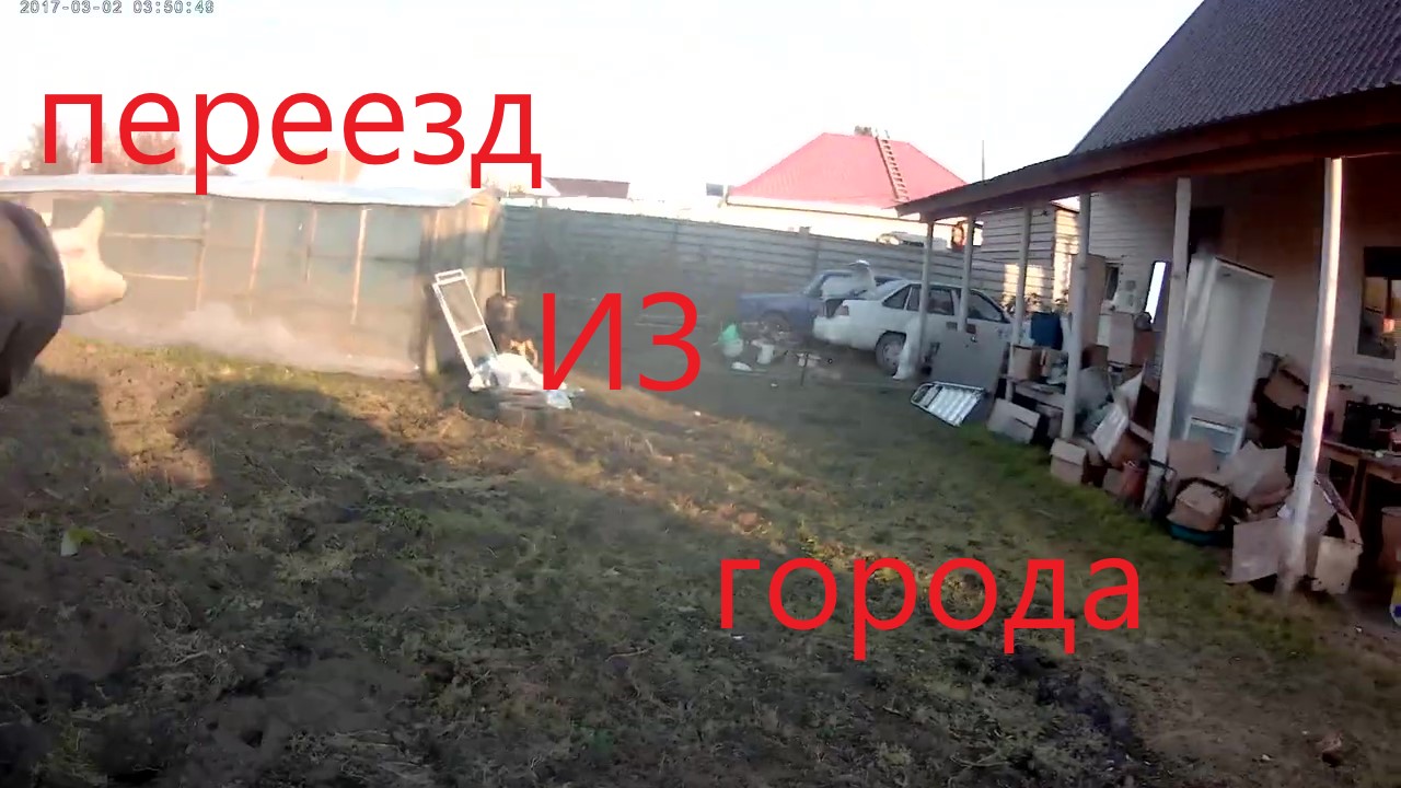 Купили дом в деревне