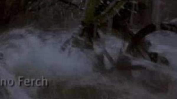 Merlin Menson-eXtrem