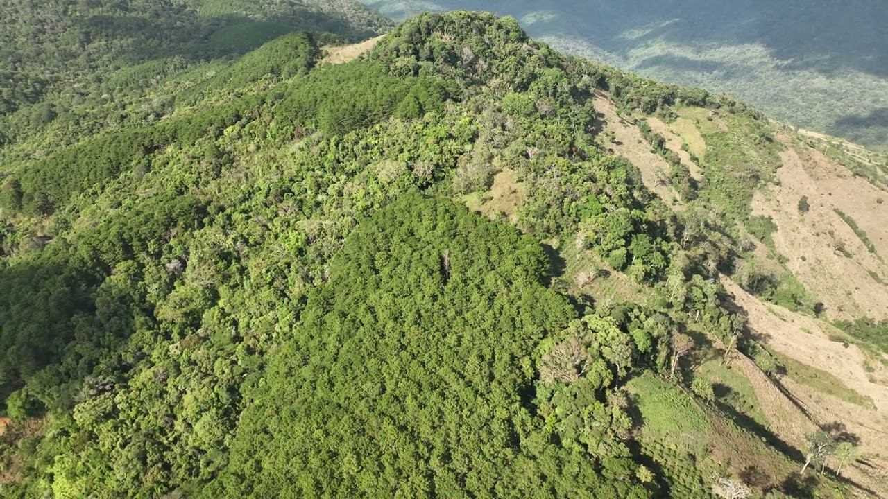 Flying A Copter In The Jungle Un11