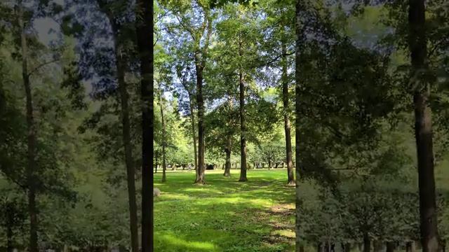 Walk Around The Magnificent Peterhof, Day One, St.Petersburg 10.08.21, 8K Video Quality, Pt4