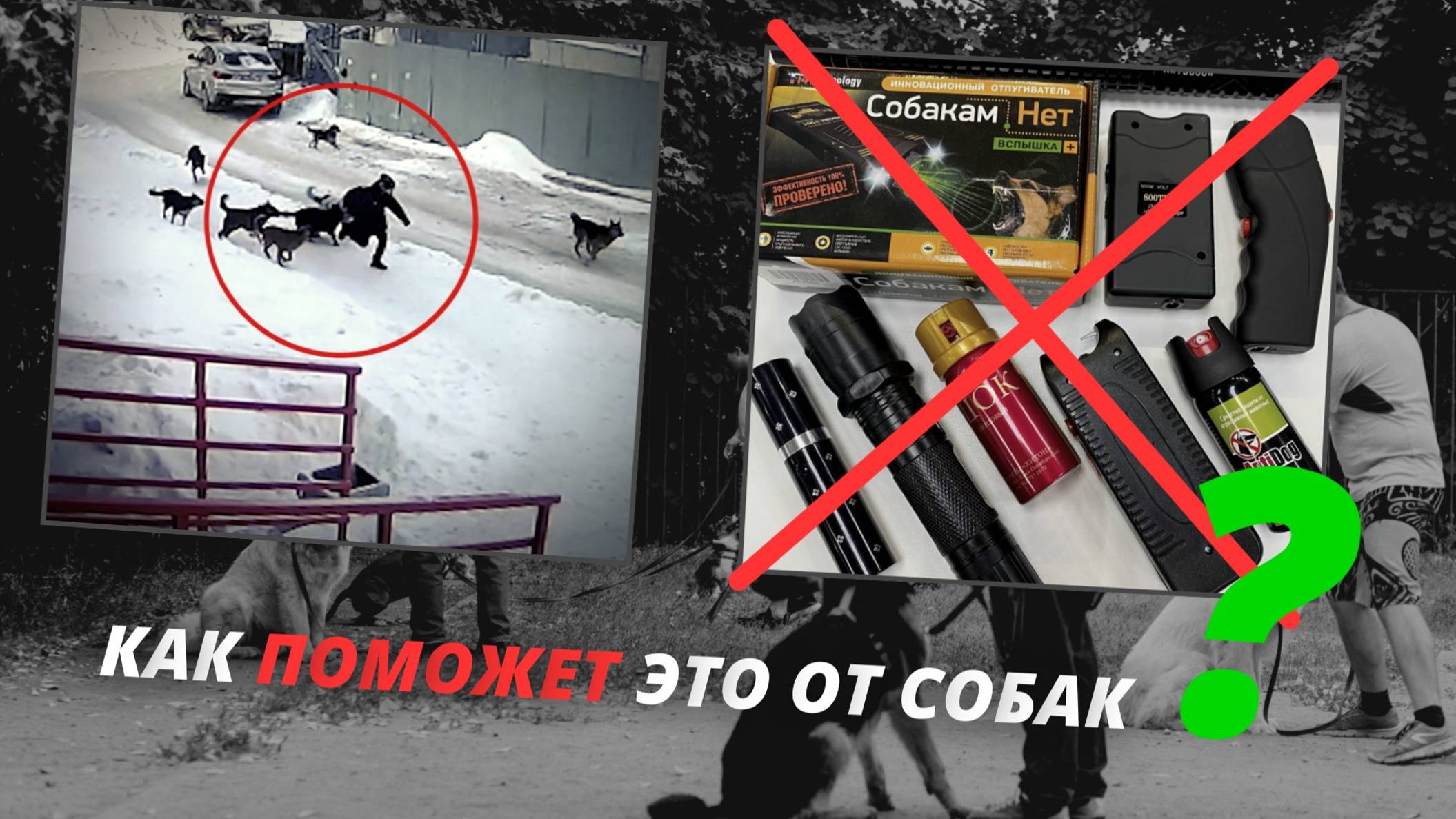 Нападение стаи собак - Используем электрошокер, ультразвук и оружие смотреть онлайн