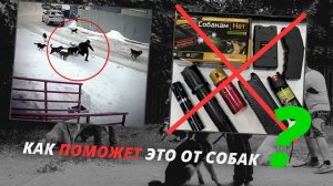 Нападение стаи собак - Используем электрошокер, ультразвук и оружие