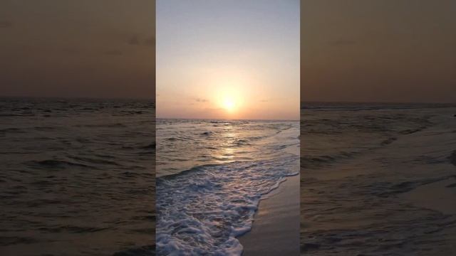 Эдвард Григ. "Утро" из музыки к пьесе Ибсена "Пер Гюнт"/ E. Grieg. Morning Mood From Peer Gynt смотреть онлайн
