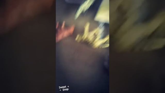 Анна играет в игру дикие животные дикая жизнь смотреть онлайн