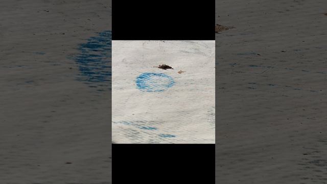 Деревенский барабанщик