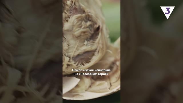 С каждым выпуском испытания становятся все сложнее и сложнее смотреть онлайн