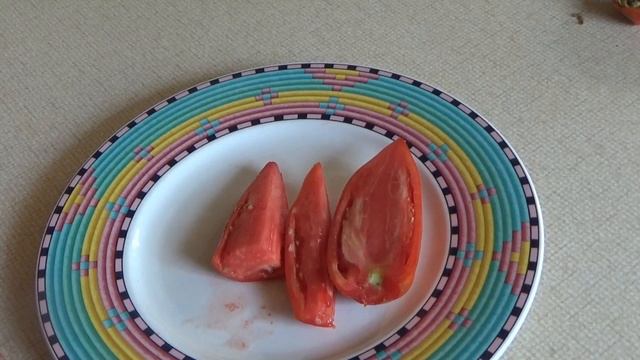 Andentomate | Fazit | Test | Geschmack | Anbau Anden Tomaten смотреть онлайн