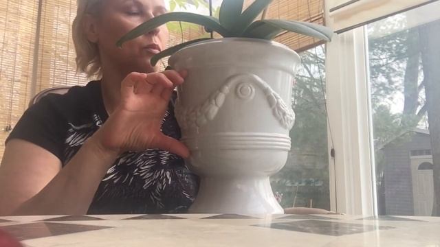 ?КАКИЕ ГОРШКИ ДЛЯ ОРХИДЕЙ САМЫЕ ЛУЧШИЕ? смотреть онлайн