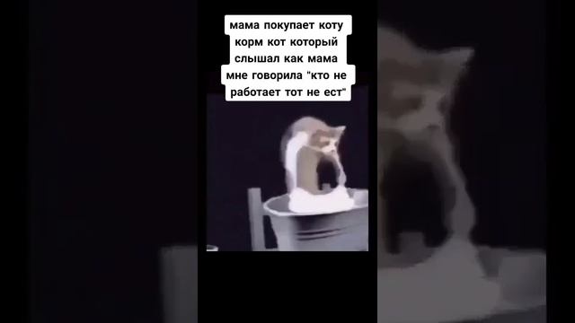 БОЖЕ ОРУ ВХВХАХВХВХАХ смотреть онлайн