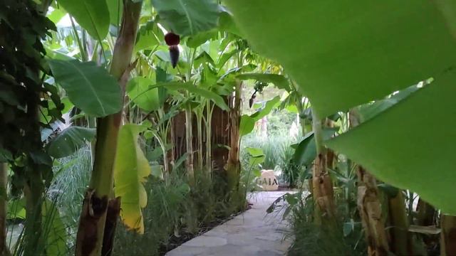 Balmy Beach Resort Kemer