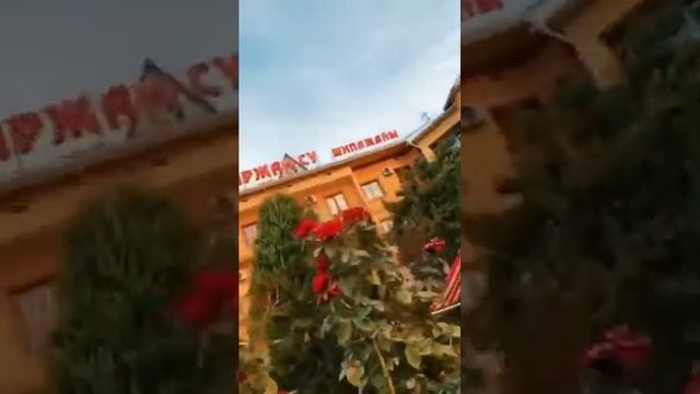 Просто слов нет? смотреть онлайн