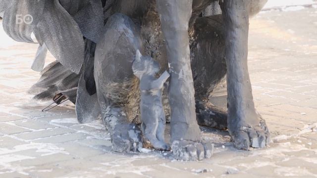 На Баумана появился памятник бездомным животным смотреть онлайн