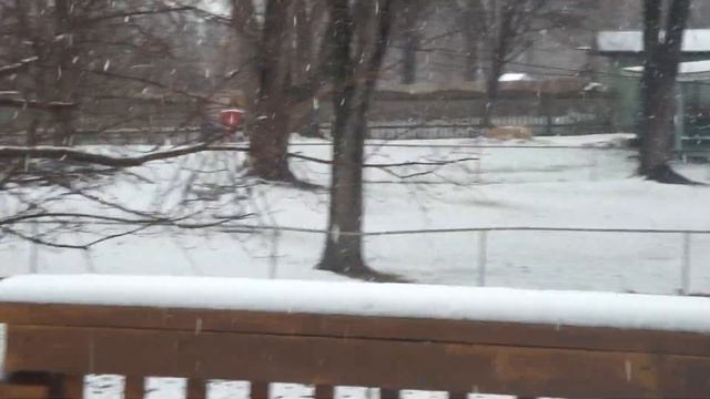 Sony dsc-tx9 hd video- snowing смотреть онлайн