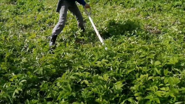 Синхронная косьба. Тренировочный покос. смотреть онлайн