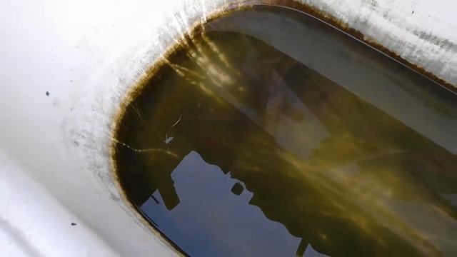 Дачный аквариум смотреть онлайн