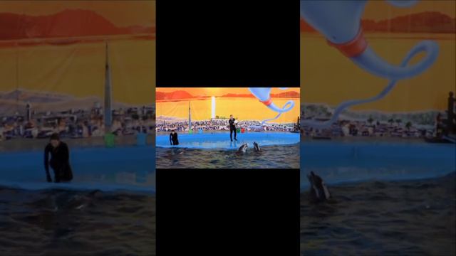 наше путешествие на юг 2017 / всей семьей на газеле / Лазаревское смотреть онлайн