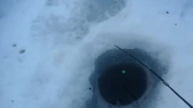 Рыбалка на маныче смотреть онлайн