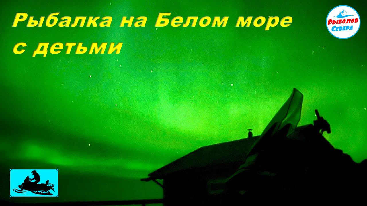 ✅ Поездка на Белое море с сыновьями. Рыбалка на корюшку #рыболов_севера #рыбалка2024 #корюх смотреть онлайн