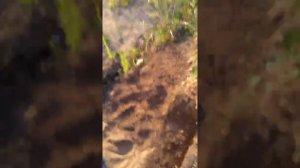 Тест  Терминатора ПРО, Эквинокса 600 и Х-Терра 705  Часть 1