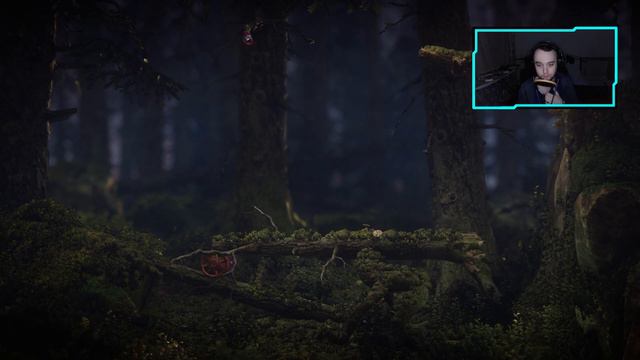 Прохождение Unravel Two: Часть 4 ["По горам, по лесам"] смотреть онлайн