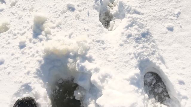 По льду на другой берег! Незабываемая прогулка по ледяной пустоши. Онежское озеро, Карелия смотреть онлайн