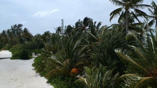 Safari Island (Ari Atoll). Maldives смотреть онлайн