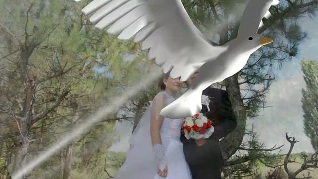 Фото-Монтаж! Видео-альбома со Свадьбы! смотреть онлайн