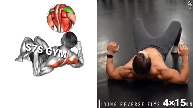 Full-body Exercises At?تمرين الجسم كامل في المنزل Home No Equipmen