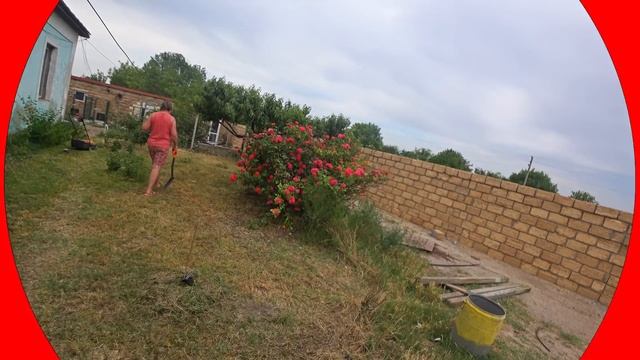 Щенок уезжает в новый дом. Первая встреча с хозяевами! Американский Булли. смотреть онлайн