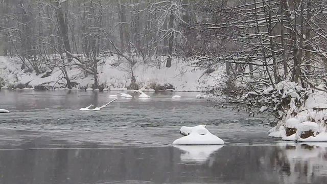 Кленовая гора. Зеленый ключ. смотреть онлайн