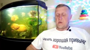 Кир Булычёв. Путешествие Алисы 7