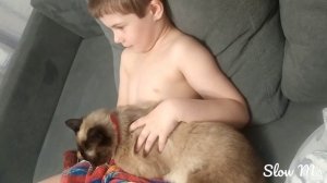 19 апреля доброго вечера