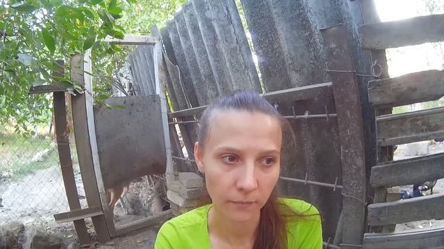 Каких видов бывают мускусные утки смотреть онлайн