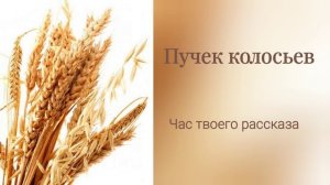 ПУЧЕК КОЛОСЬЕВ ? Очень интересный рассказ | Час твоего рассказа